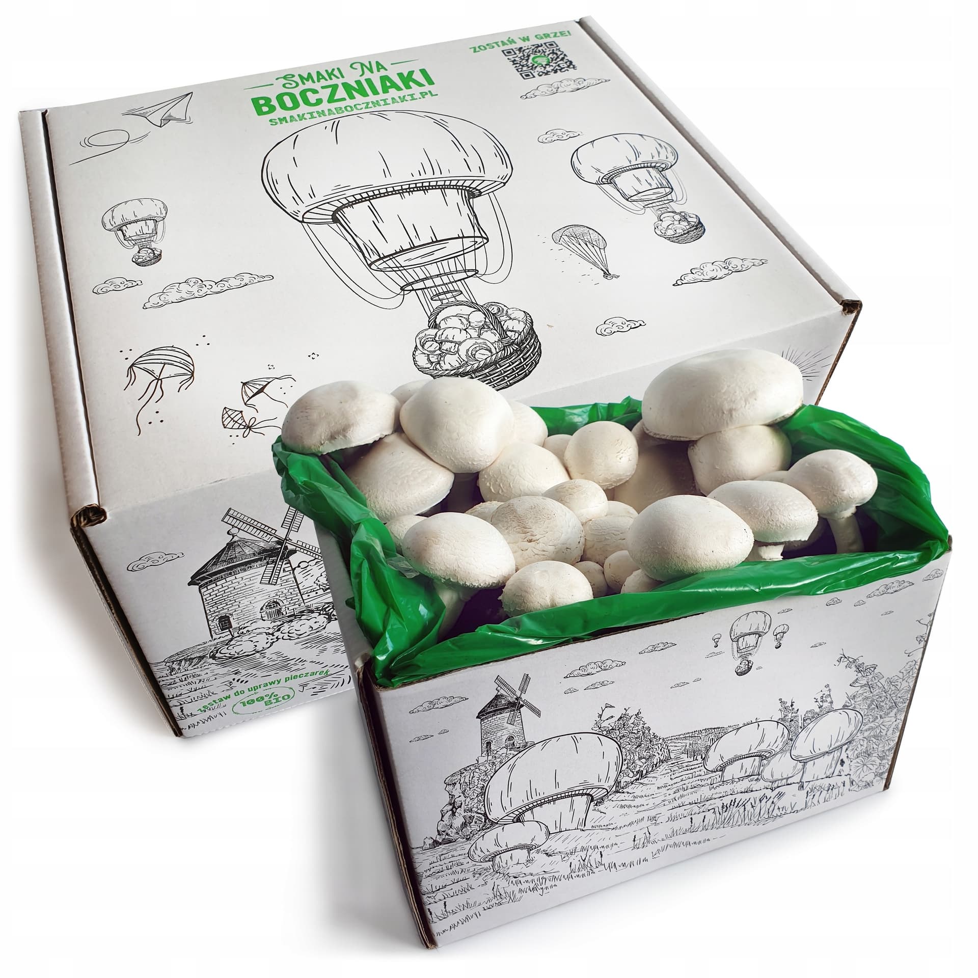 Polska Pieczarka Horeca Świeża 3 kg