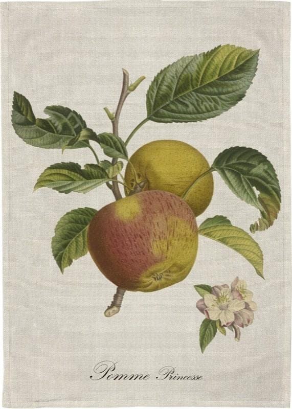 Ręcznik kuchenny bawełniany z motywem jabłoni 50 x 70 cm