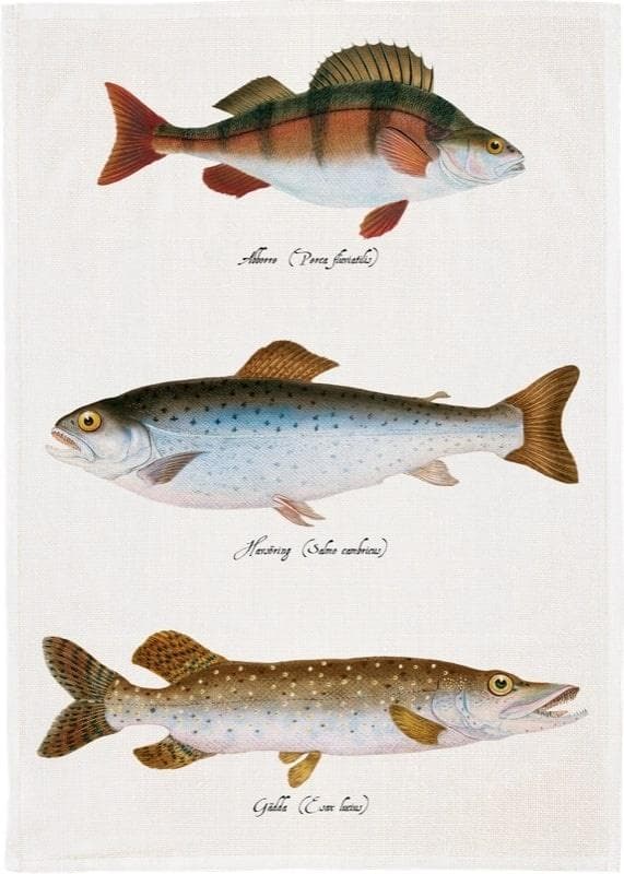 Ręcznik kuchenny bawełniany Skona Ting - wzór ryby 50 x 70 cm