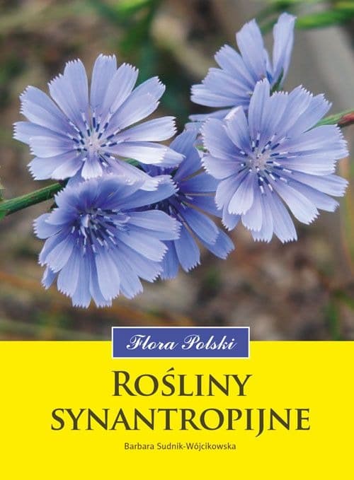Rośliny synantropijne Flora Polski Barbara Sudnik-Wójcikowska
