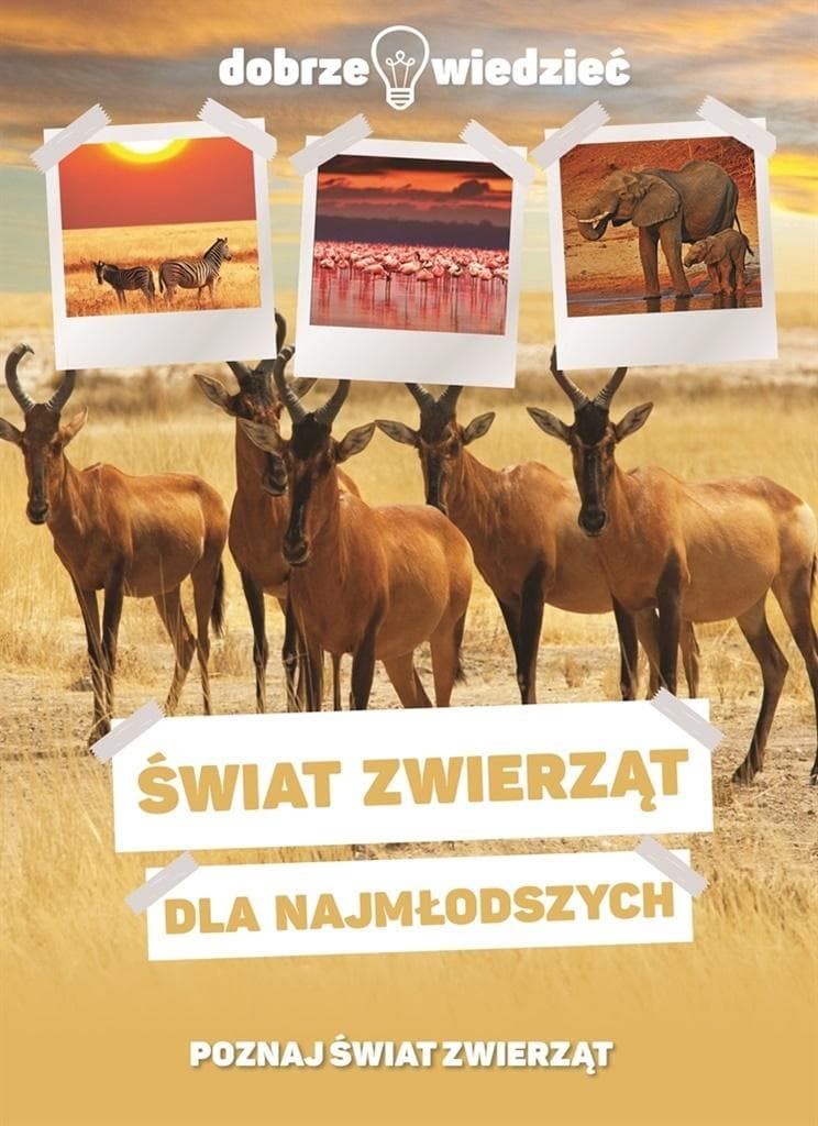 Świat zwierząt dla najmłodszych - praca zbiorowa