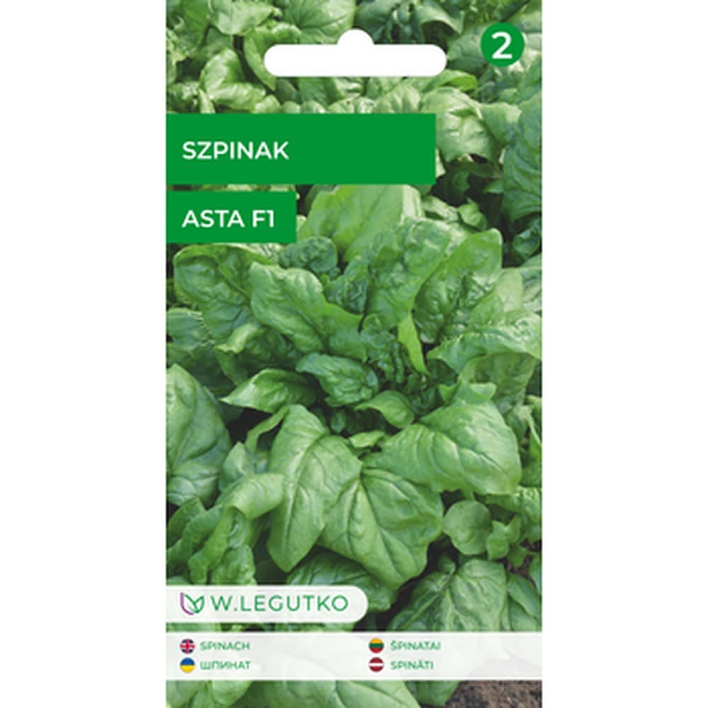 Szpinak Asta F1 do uprawy wiosennej i jesiennej