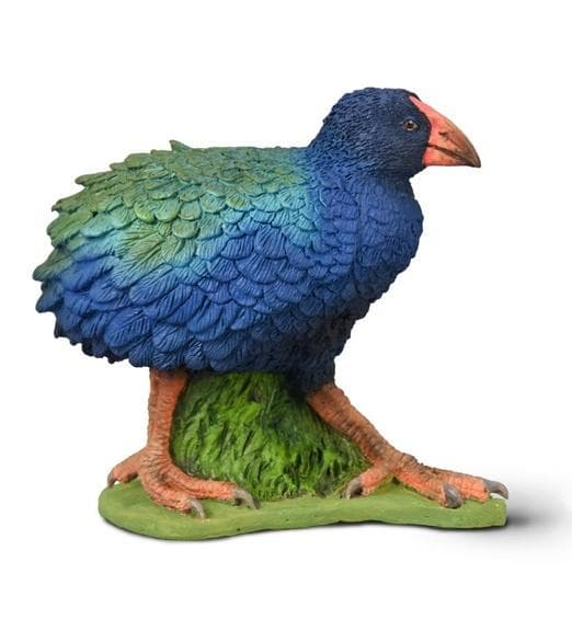 Takahe południowy ptak nielotny Nowa Zelandia Collecta