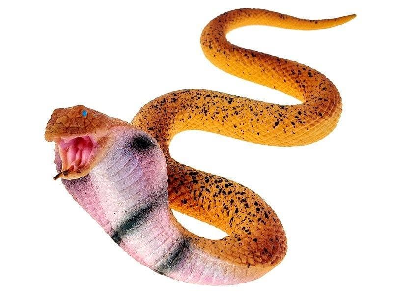 Elastyczny wąż o wymiarach 21 x 18,5 x 5 cm