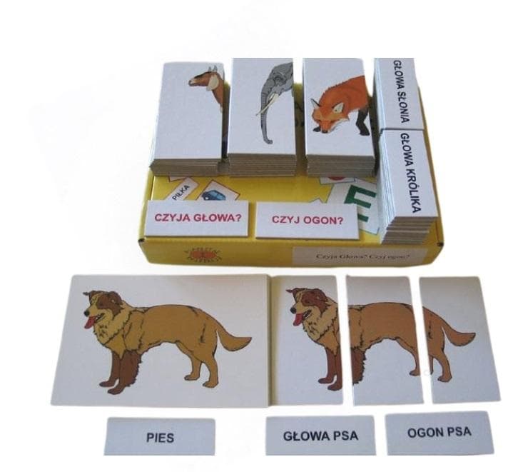 Zestaw edukacyjny Czyja głowa? Czyj ogon? Arson