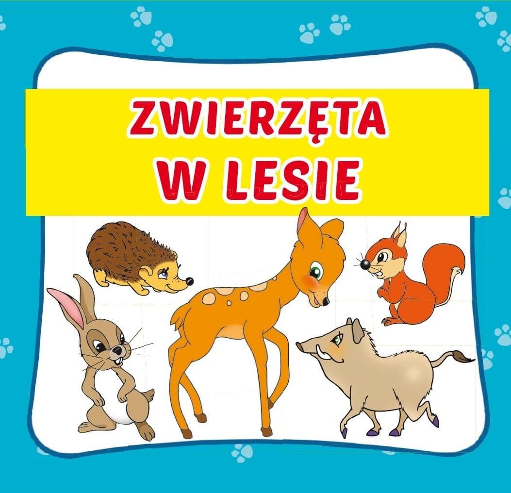 Zwierzęta w lesie - praca zbiorowa dla najmłodszych